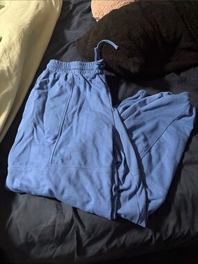 torrid periwinkle blue jogger pants